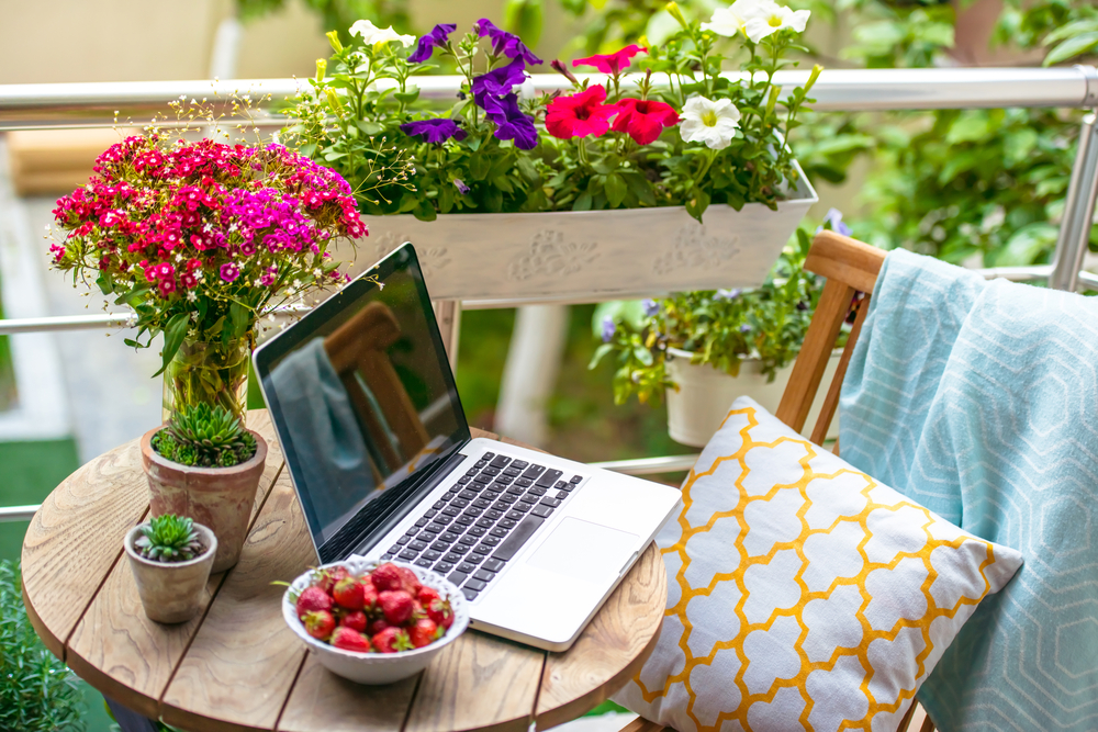 It’s Gardening Season! Here’s Where to Get Everything You Need For Your Garden