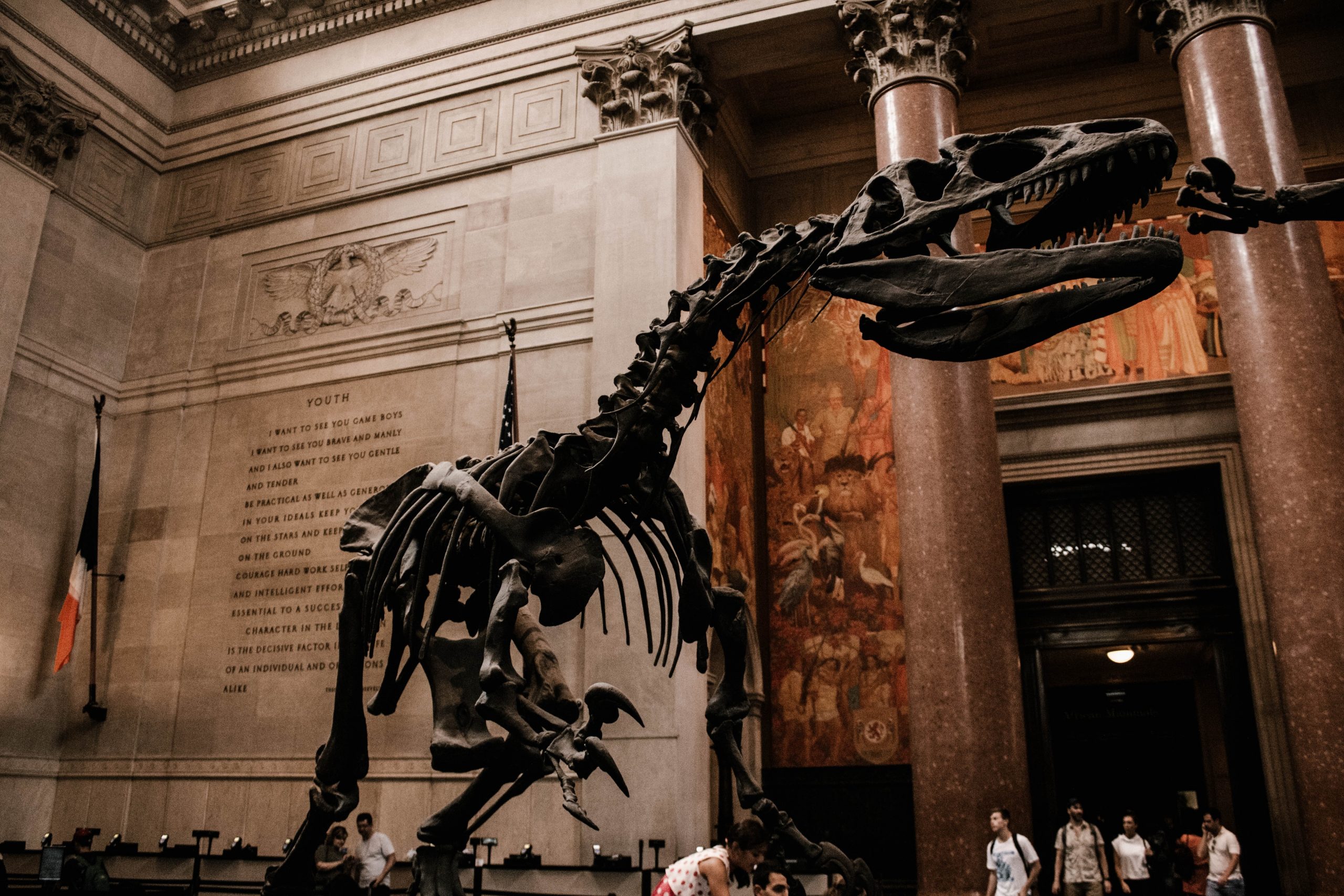 American Museum of Natural History, New-York Historical Society: How to Host a Museum Day Near The Sagamore