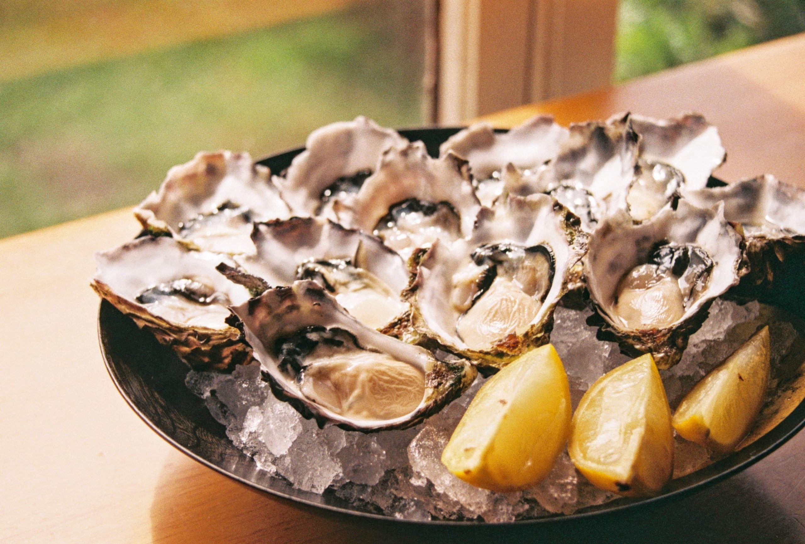 Take the The Sagamore’s Upper West Side Happy Hour Oyster Bar Crawl