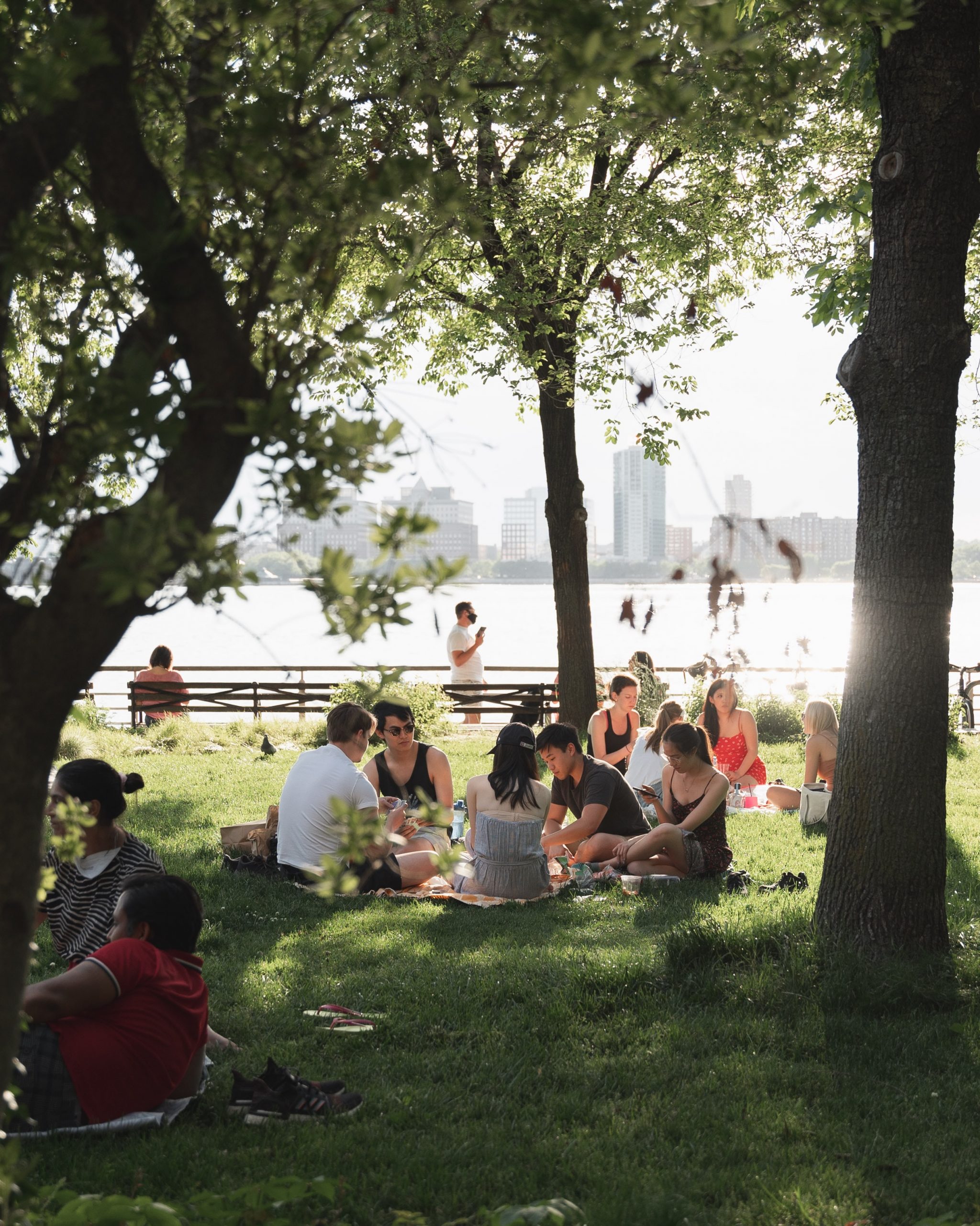 Picnicking In The Park: Where to Picnic at Central Park, Near The Sagamore