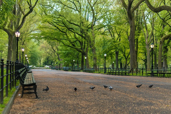 5 ‘Touristy’ Things-to-Do With Out-of-Towners On the Upper West Side