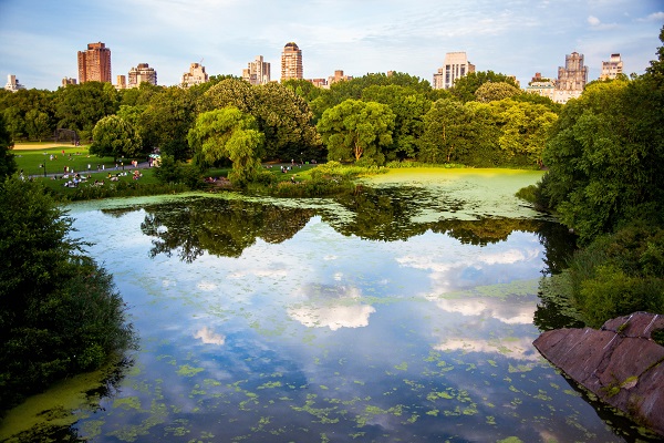 Summer Season: Unwind Outdoors Near the Upper West Side